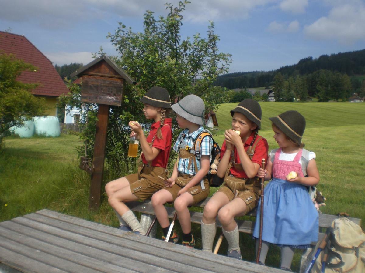 Villa Urlaub Am Bauernhof Grabenhofer Sankt Jakob im Walde Exterior foto