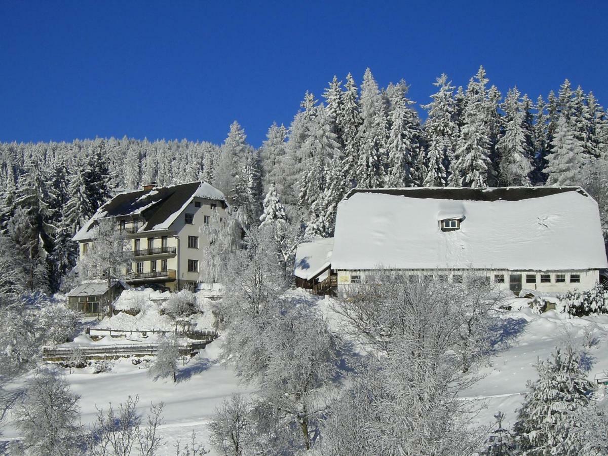 Villa Urlaub Am Bauernhof Grabenhofer Sankt Jakob im Walde Exterior foto