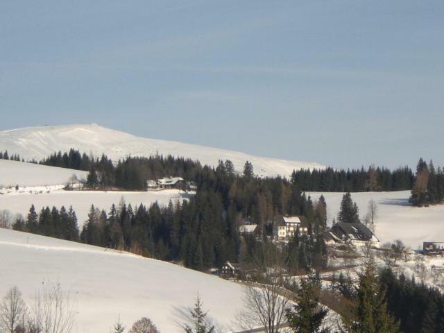 Villa Urlaub Am Bauernhof Grabenhofer Sankt Jakob im Walde Exterior foto
